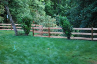 pdx_deck_and_fence006045.jpg