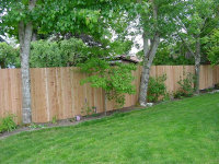 pdx_deck_and_fence006053.jpg